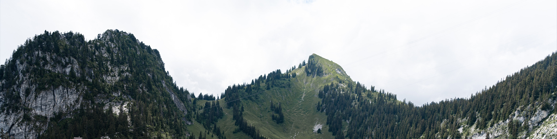 北京易杨国际旅行社有限公司驻马店第一网点